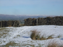 Spot the stile two
