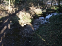 Beck from Dark Hill Well
