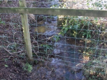 Beck from Dark Hill Well 2