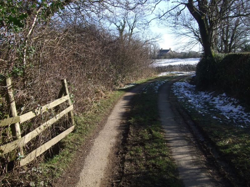 Lane