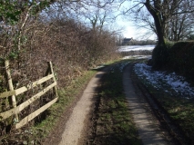 Lane