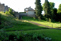 Valley garden HEDGE removal 15072012