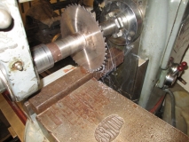 SHED 01  070215