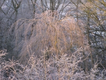 BEV 15 02 08 034
