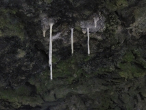 Stalactites