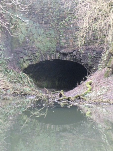 Rainhall Rock 15 02 09 005