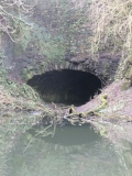 Rainhall Rock 15 02 09 005
