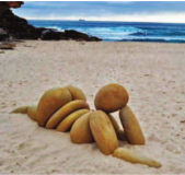 Photographed on beach