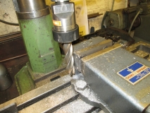 SHED 03  240215