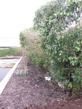BiB Mem Gdns 15 02 25 001