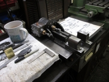 SHED 09  260215