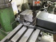 SHED 06  260215