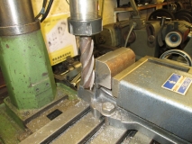 SHED 05  260215