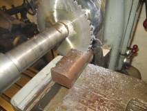 SHED 03  260215