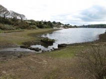 Penpol creek tidal mill remains