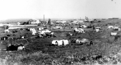 Gwalia1902