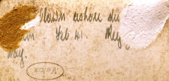 Annotation on Back of Sonja Maersk Photo