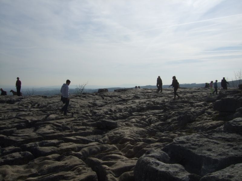 Limestone Pavement