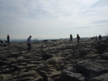 Limestone Pavement