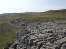 Clints and Grikes