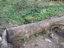 Coin Log 1