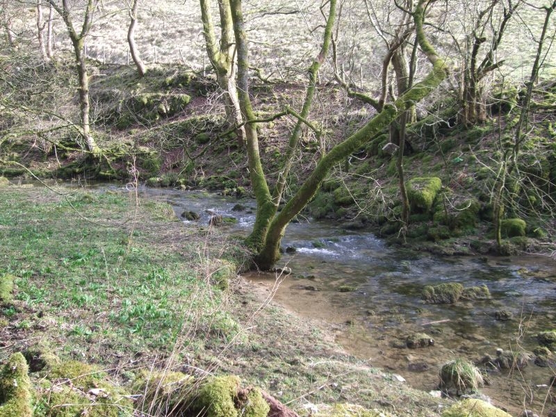 Young River Aire