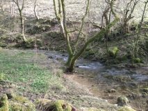 Young River Aire