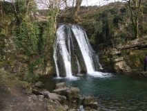 Janets Foss
