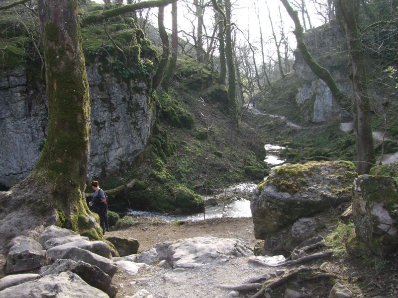 View Down River