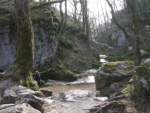 View Down River