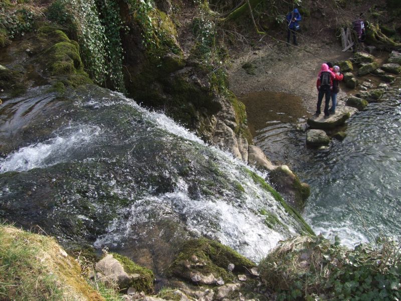 From the top of the Foss
