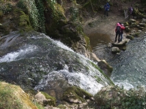 From the top of the Foss
