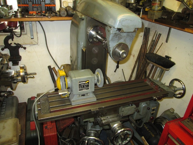 SHED 05  050415