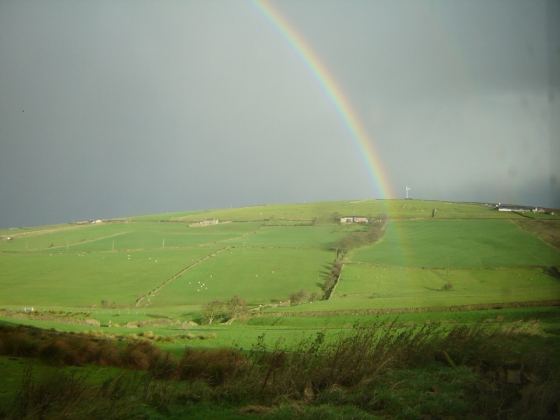 rainbow