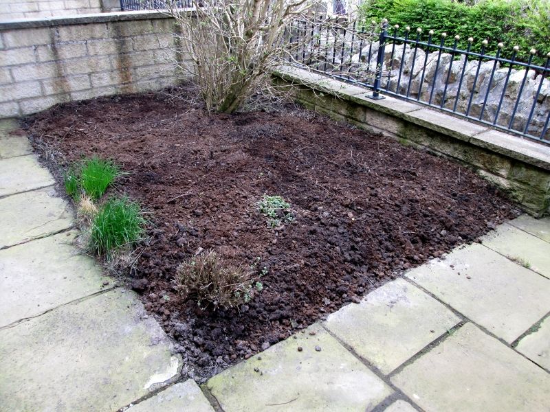 Garden 110415