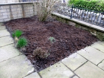 Garden 110415