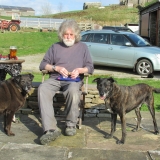 Three greybeards