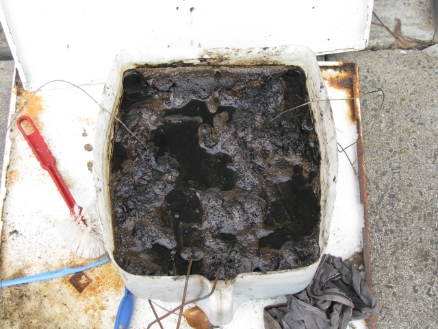 Molasses Bath