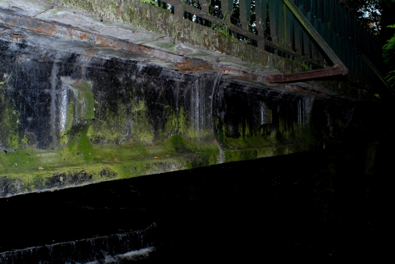 Valley Gardens Footbridge 03