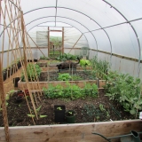 polytunnel01