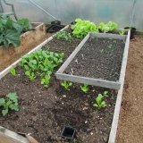 polytunnel04