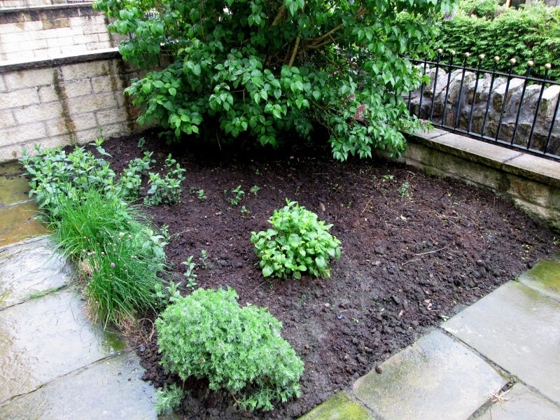 Front garden 290515