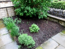 Front garden 290515