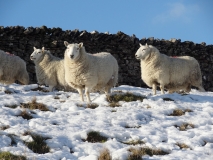 Kettlewell to Starbotton wal