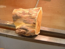 mushroom box 005
