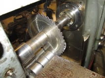 SHED 02  130615