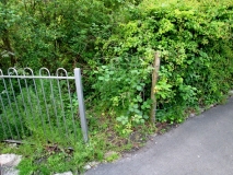 Fence gap Federation st 140615