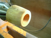 mushroom box 008