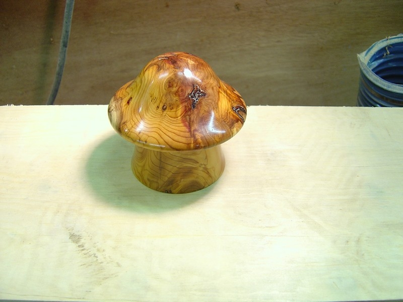 mushroom box 011