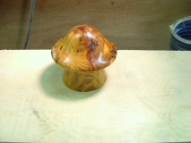 mushroom box 011